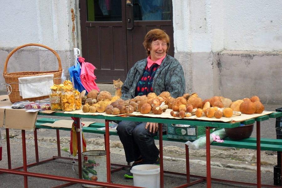 Боровики раскупают быстро