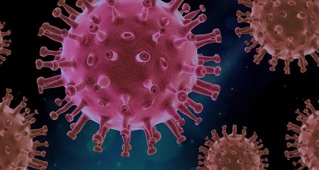 В Латвии за сутки выявлено 2443 случая COVID‑19; двенадцать умерших
