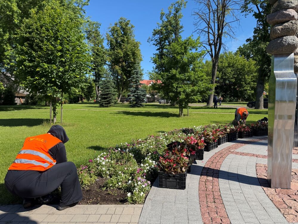 В Елгаве восстановлены насаждения на городских клумбах